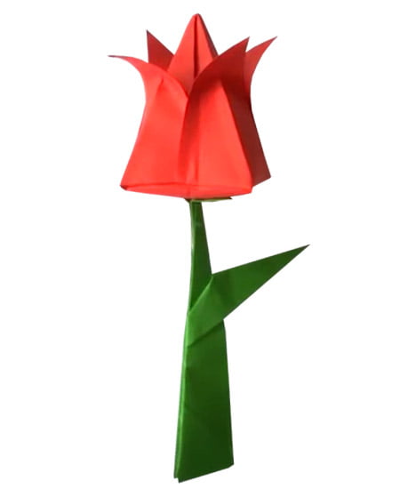 tulipan de papel