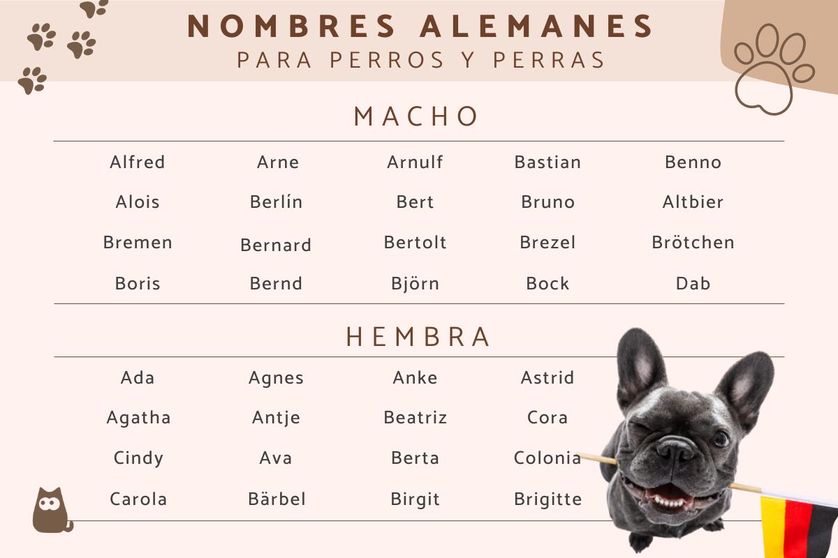 Nombres de perros pastor aleman